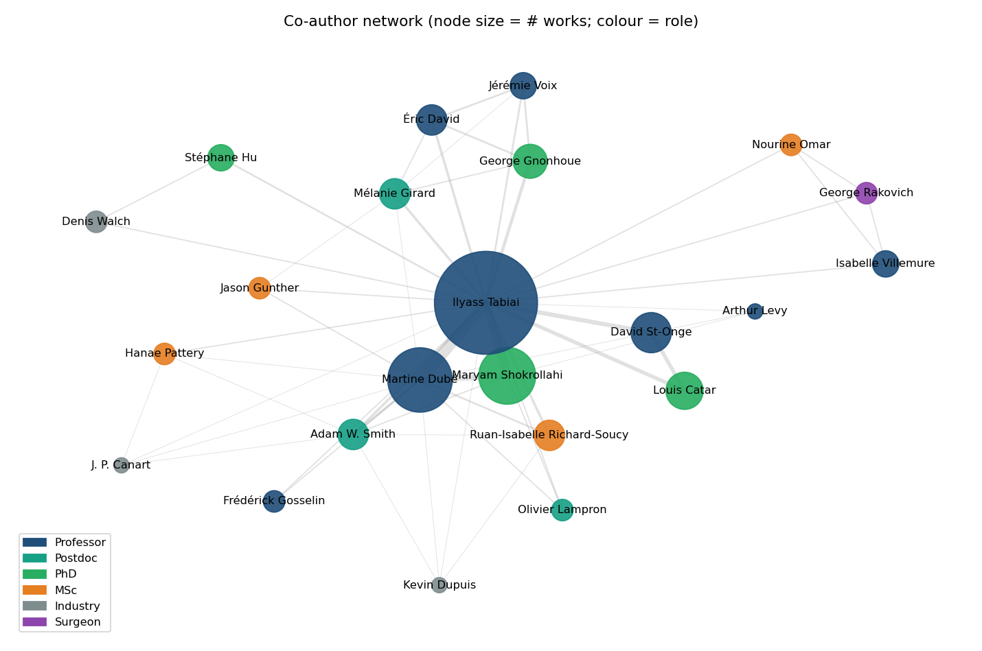 Co-author network, coloured by role